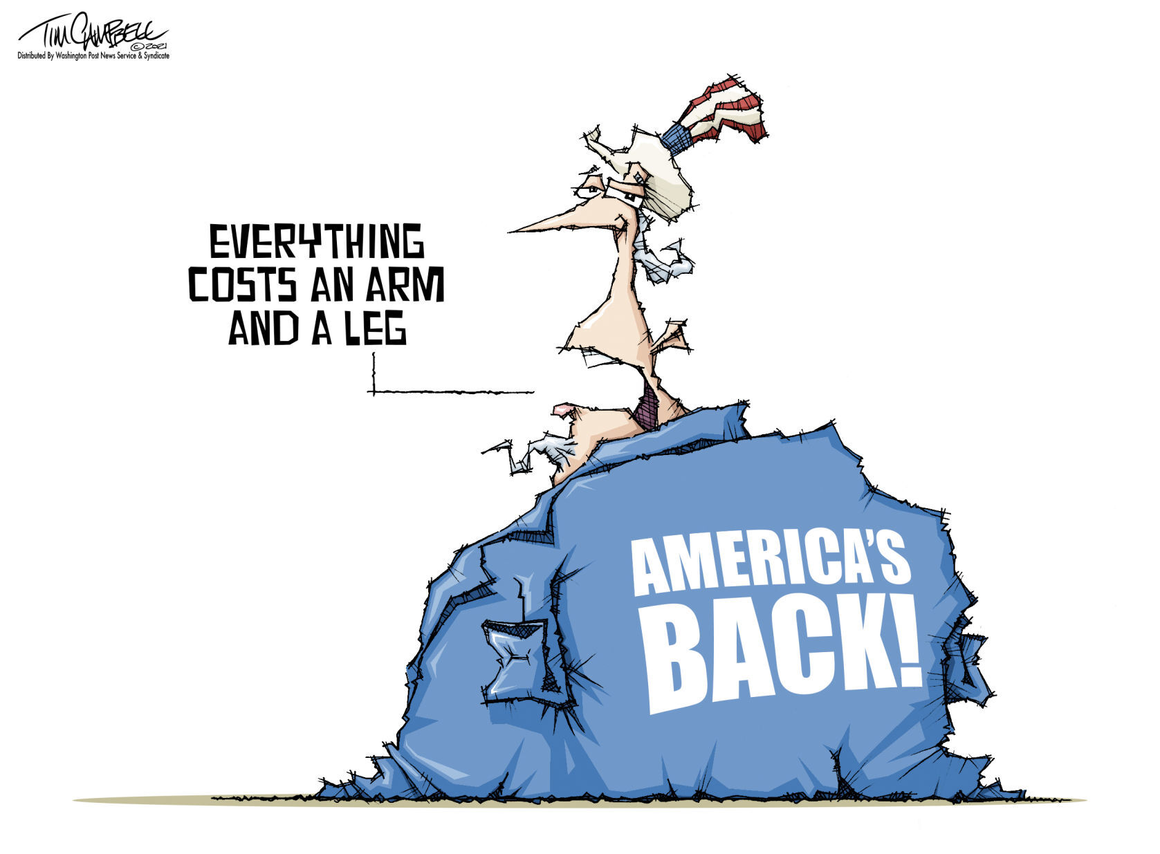 Tim Campbell cartoon